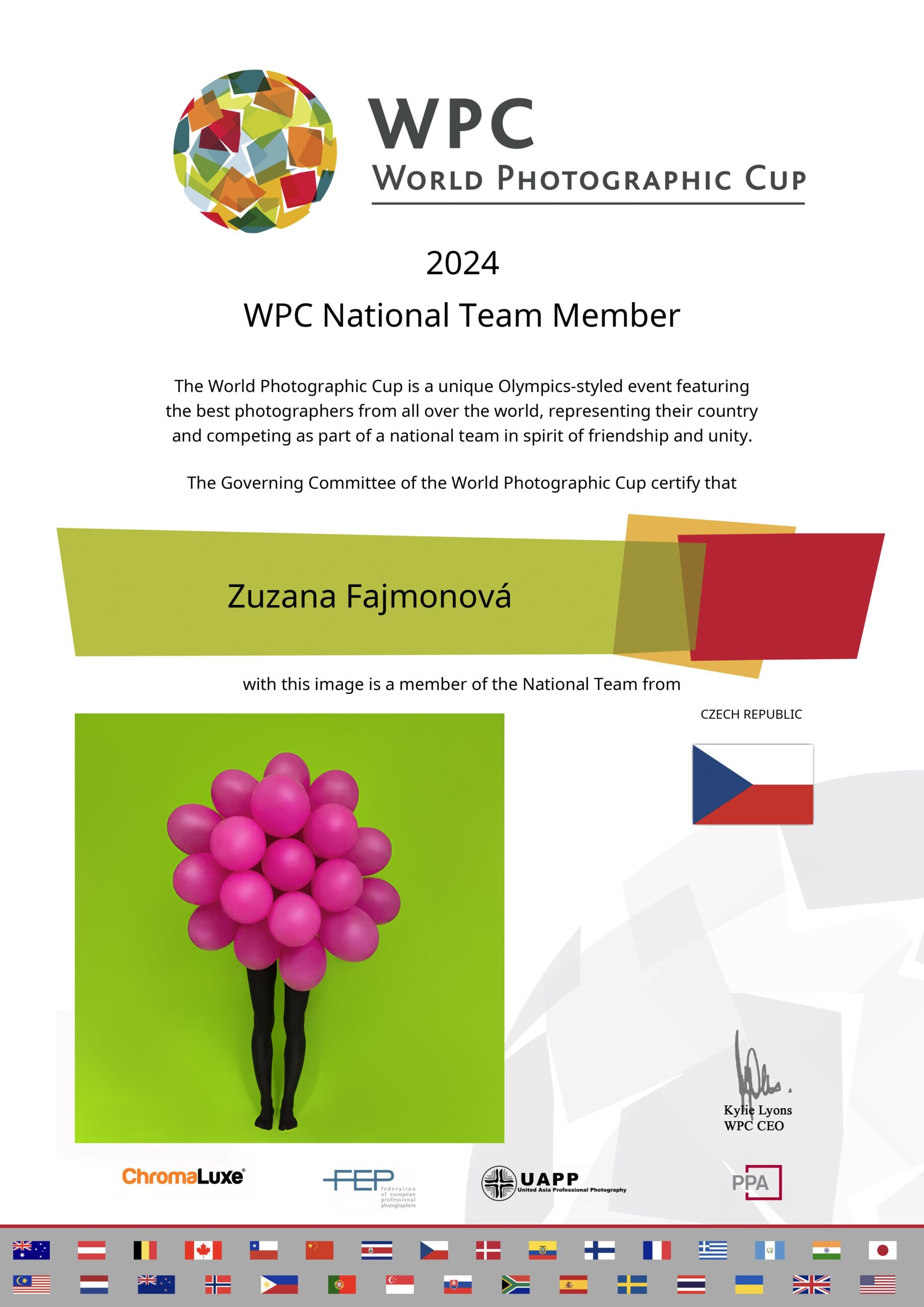 certificate_team_member-WPC 2024-Illustration+Digital Art-212-WPC 2024 Participation-238-51802d8bb965d0e5be697f07d16922e8