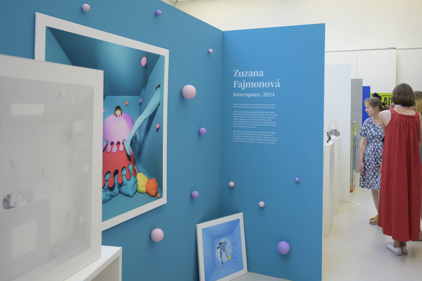 czech_design_week_zuzana_fajmonova_vizualni_umelec_5