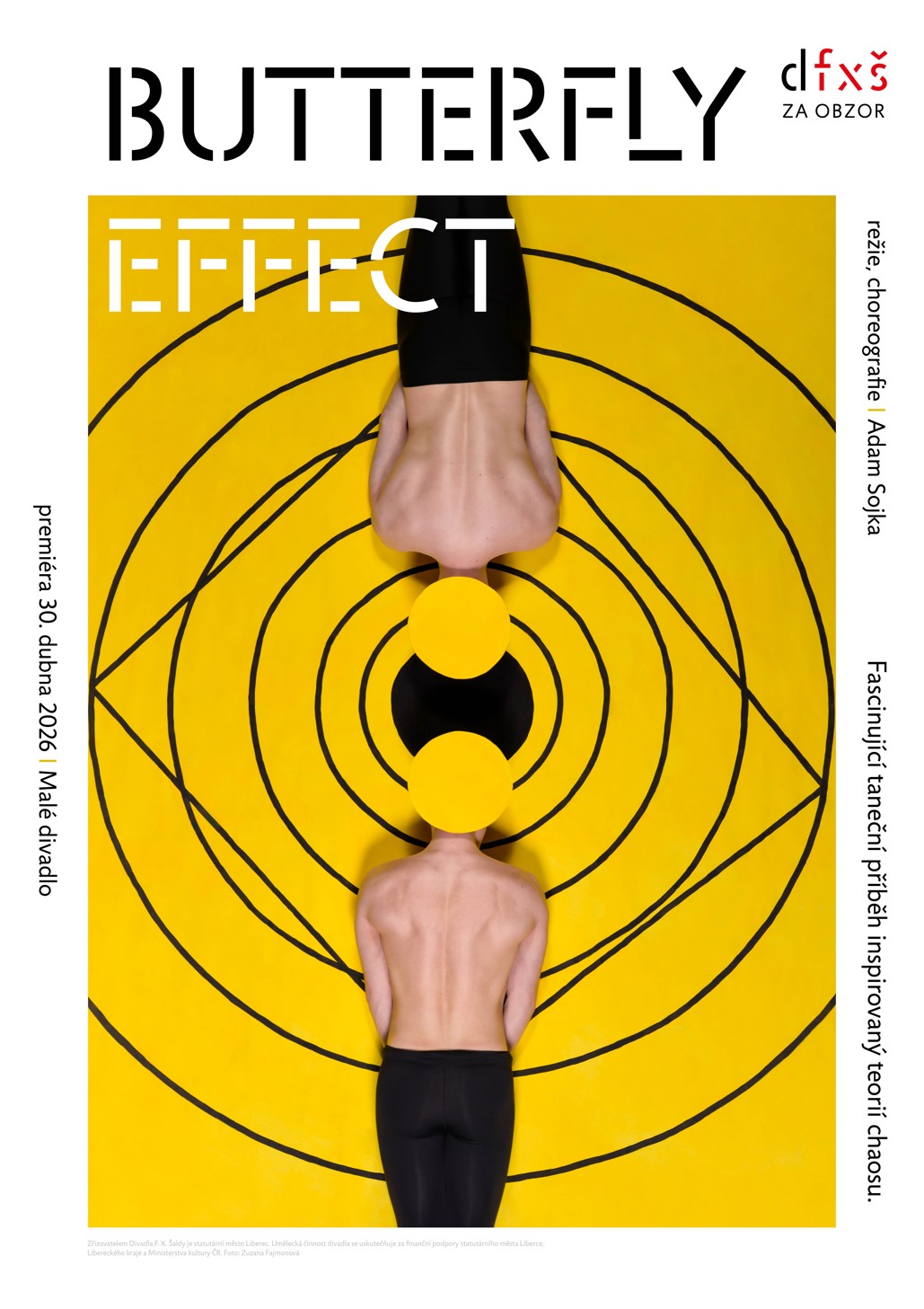 visual_poster_for_theatre_zuzana_fajmonova